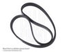 BLUE PRINT AD04R885 V-Ribbed Belts